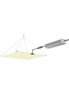 Cultilite Quantum Board 2.75 µmol/J ORION 340 2