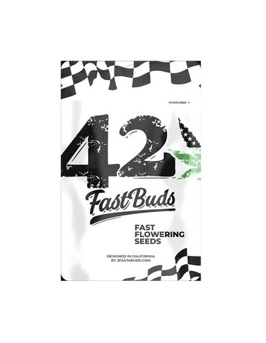 Fast Buds Rainbow Melon fem 3 Semi