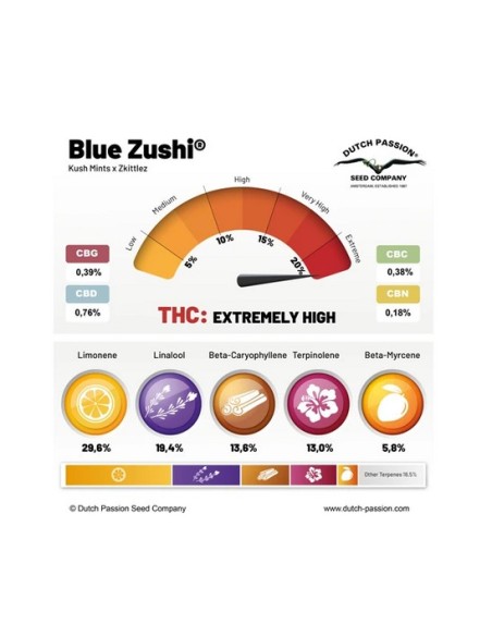 Dutch Passion Blue Zushi 3 Semi Fem