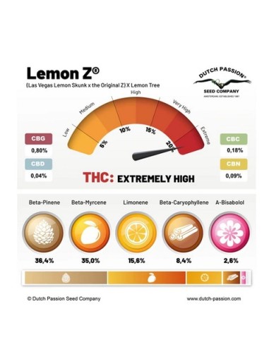 Dutch Passion Lemon Z 3 Semi Fem