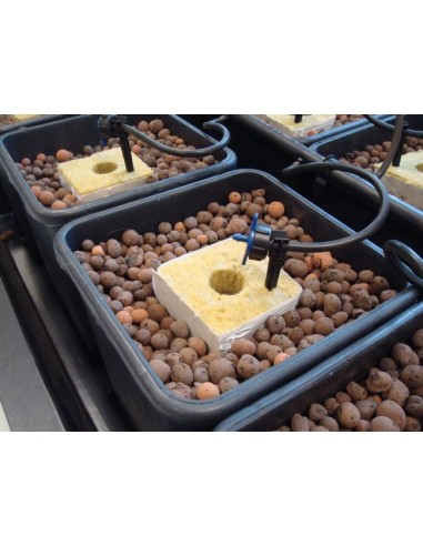 IDROPONICA PER TUTTI - MANUALE PER COLTIVAZIONE FUORI SUOLO - di WILLIAM TEXIER