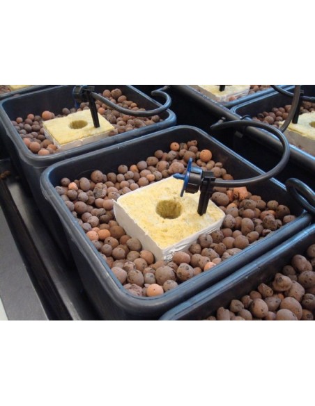 IDROPONICA PER TUTTI - MANUALE PER COLTIVAZIONE FUORI SUOLO - di WILLIAM TEXIER