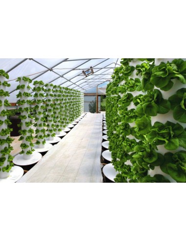 IDROPONICA PER TUTTI - MANUALE PER COLTIVAZIONE FUORI SUOLO - di WILLIAM TEXIER