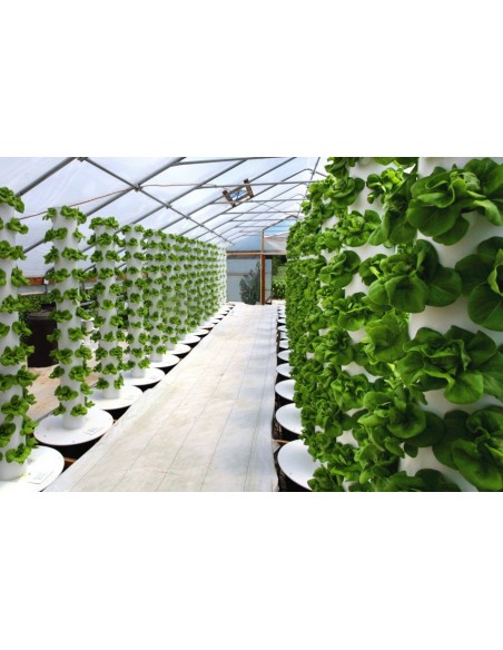 IDROPONICA PER TUTTI - MANUALE PER COLTIVAZIONE FUORI SUOLO - di WILLIAM TEXIER