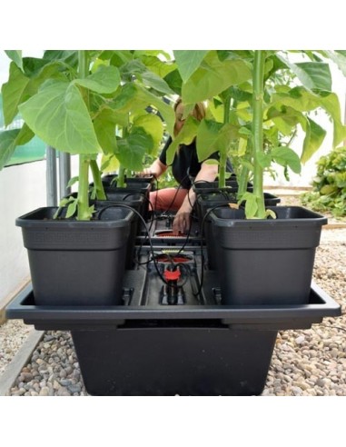 IDROPONICA PER TUTTI - MANUALE PER COLTIVAZIONE FUORI SUOLO - di WILLIAM TEXIER