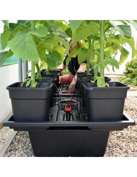 IDROPONICA PER TUTTI - MANUALE PER COLTIVAZIONE FUORI SUOLO - di WILLIAM TEXIER