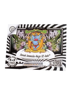 Sweet Seeds - Sweet Amnesia Haze XL Auto - 5 Semi + 2 Gratis 2