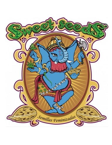 Sweet Seeds Strawberry Banana Gelato XL 25 Semi...