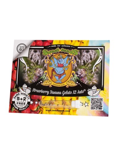Sweet Seeds Strawberry Banana Gelato XL 500...