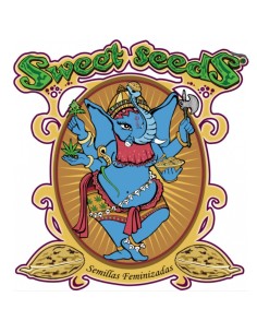 Sweet Seeds - Runtz XL Auto - 5 Semi + 2 Gratis 2