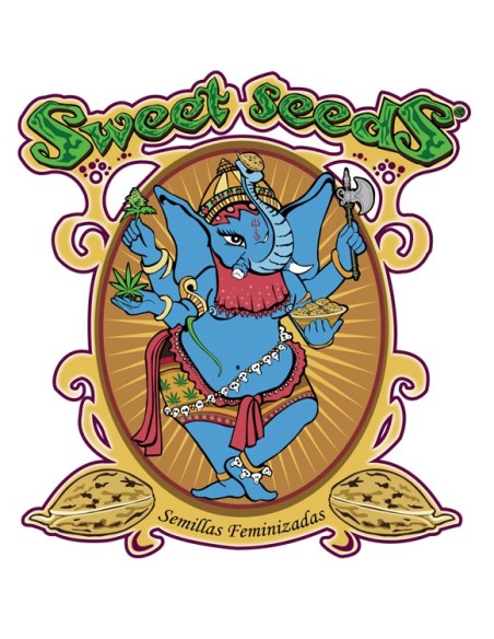 Sweet Seeds Mental Rainbow 5+2 Semi F1 Fast Version