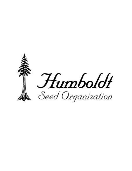 Humboldt Seed Organization Forbidden Fruit Fast Flowering 10 Semi