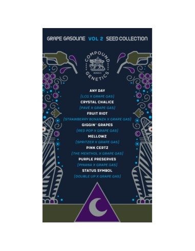 Compound Genetics Purple Reserves 7 Semi Fem