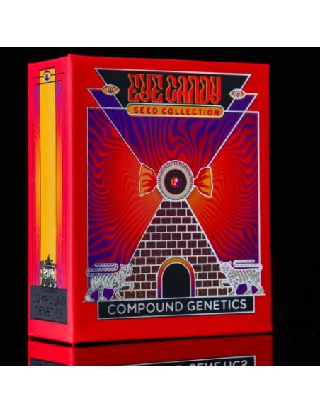 Compound Genetics Runtz Carlton 7 Semi Fem