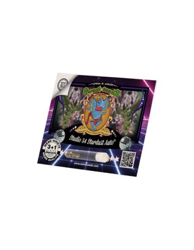 Sweet Seeds Studio 54 Stardust 3+1 Auto