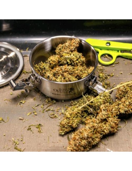 Royal Queen Seeds Curing Vault 300ml (S): stagionatura ermetica e sicura delle tue cime