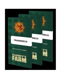 Barney's Farm Trainwreck 3... 2