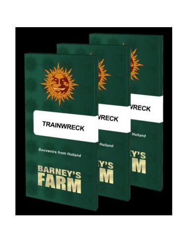 Barney's Farm Trainwreck 3 Semi Femm