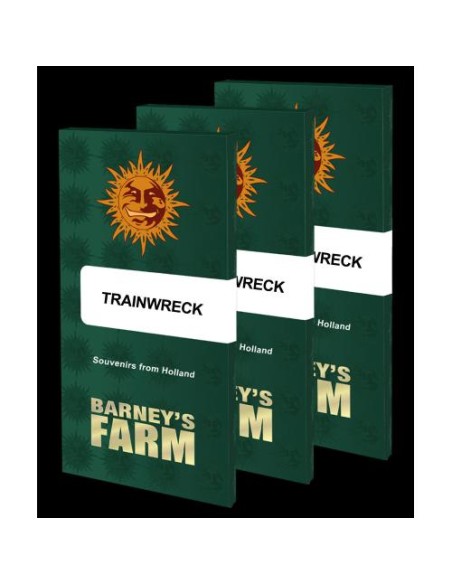 Barney's Farm Trainwreck 3 Semi Femm