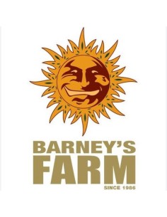Barney's Farm Bruce Banner... 2