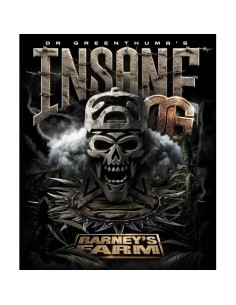 Barney's Farm Insane Og...