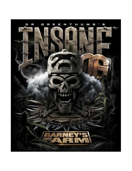 Barney's Farm Insane Og Femm 3 semi