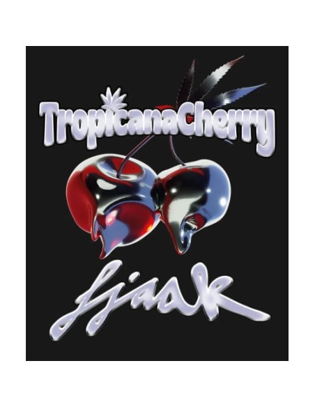 Barney's Farm Tropicana Cherry Femm 3 semi