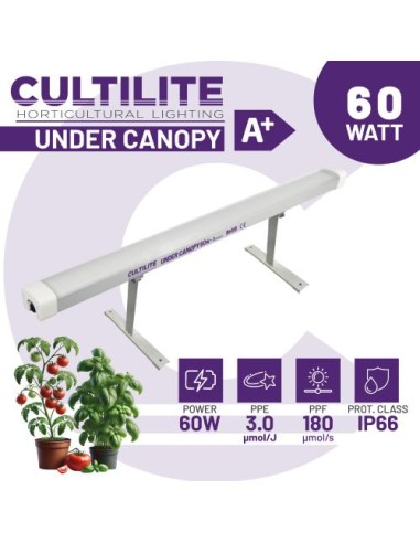 Cultilite LED Under Canopy 60W 3.0: illuminazione potente per coltivazioni indoor professionali