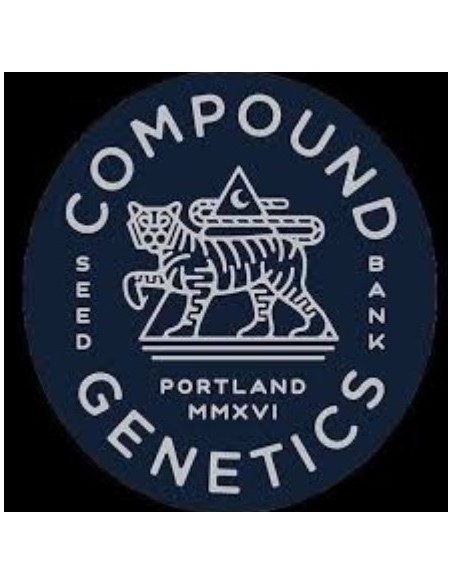 Compound Genetics Grapaya 7 Semi Fem