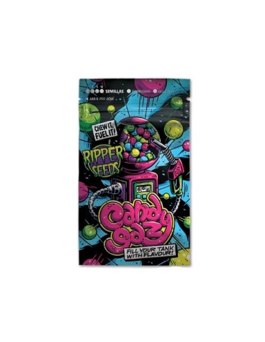 "Ripper Seeds Candygaz – 1 seme: genetica di qualità con aromi intensi e crescita vigorosa."