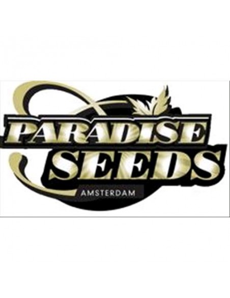 PARADISE SEEDS - AUTO WAPPA - 10 SEMI