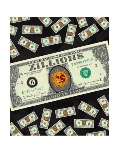 Barney's Farm Zillions Strain 3 Semi Femm