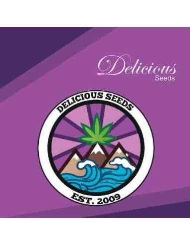 Delicious Seeds Critical Neville Haze Auto 1 Seme