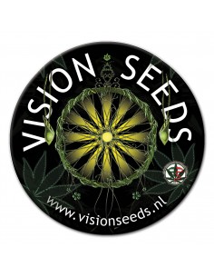 VISION SEEDS  2