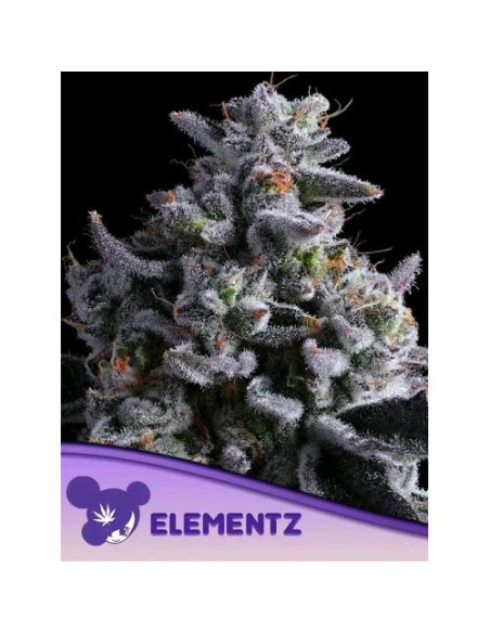 Anesia Seeds Elementz Femm 25 Semi
