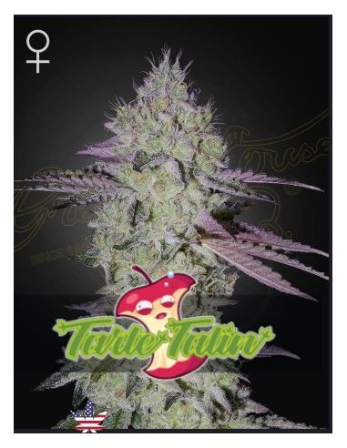 Green House Tarte Tatin Fem 10 semi: genetica premium, aroma intenso, qualità top per collezionisti.