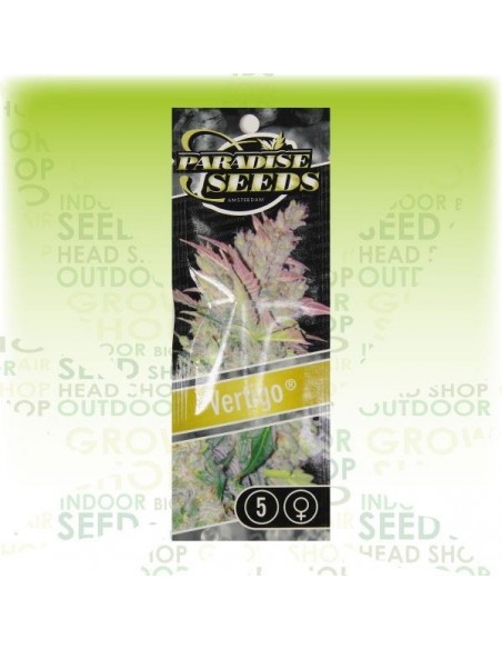 Paradise Seeds - Auto Vertigo