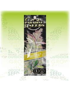 Paradise Seeds - Auto Vertigo 2