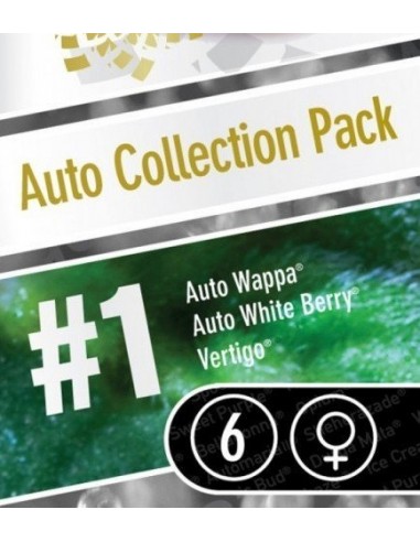 Paradise Seeds - Auto Collection Pack 1