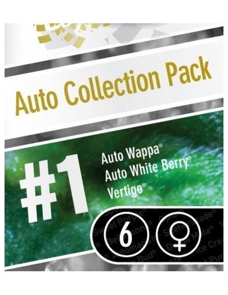 Paradise Seeds - Auto Collection Pack 1