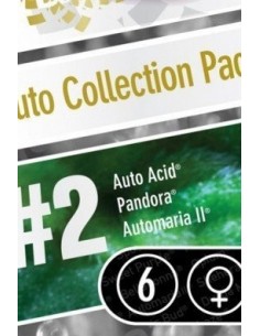 Paradise Seeds - Auto Collection Pack 2