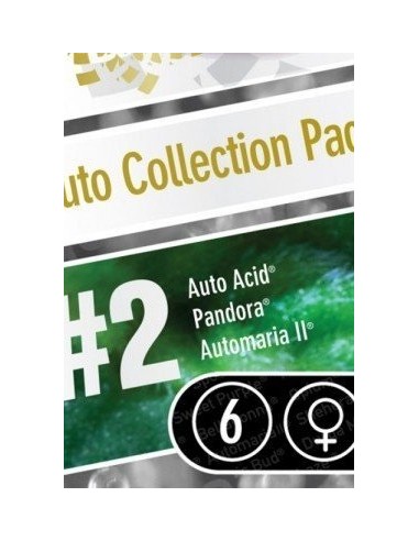 Paradise Seeds - Auto Collection Pack 2