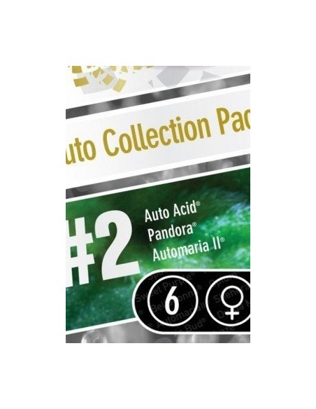 Paradise Seeds - Auto Collection Pack 2