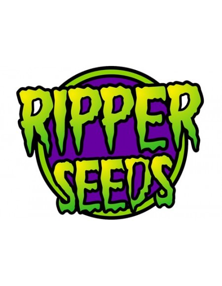 RIPPER SEEDS - ZOMBIE KUSH - 1 SEME FEM