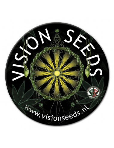VISION SEEDS 