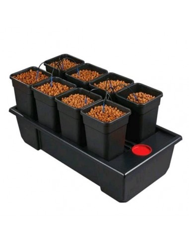 NEW - WILMA GROW SYSTEM 8 SMALL WIDE (8X11L) 120X60X20CM - SISTEMA IDROPONICO ATAMI