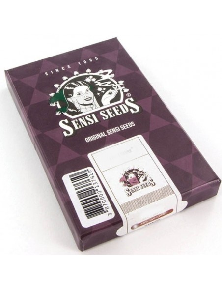 SENSI SEEDS - BLACK DOMINA FEMMINIZZATA - 3 SEMI