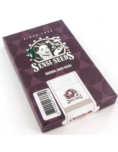 SENSI SEEDS - DURBAN FEMMINIZZATA - REDUX SERIES - 3 SEMI