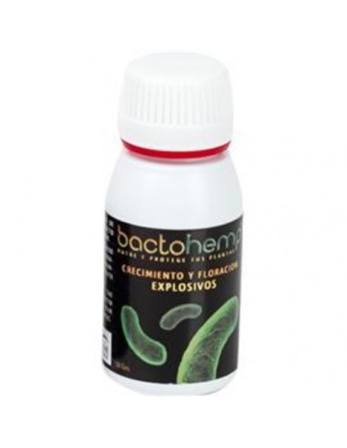Agrobacterias - Bactohemp - 50g - Estratti Umici