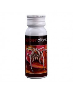 Agrobacterias - Spider Plant (ex Spider Killer) - 15ml - Contro Ragno Rosso